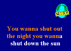 You wanna shut out
the night you wanna
shut down the sun
