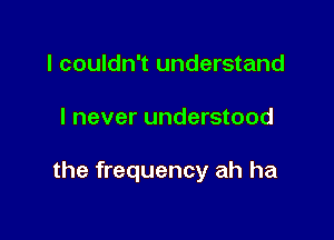I couldn't understand

I never understood

the frequency ah ha