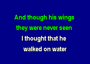 And though his wings

they were never seen
I thought that he
walked on water