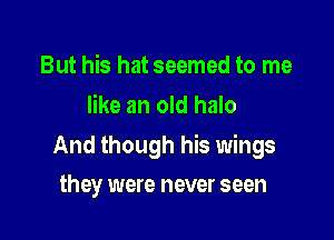 But his hat seemed to me
like an old halo

And though his wings

they were never seen