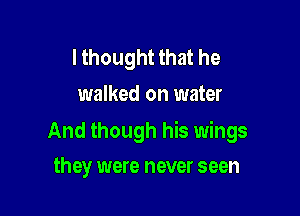 lthought that he
walked on water

And though his wings

they were never seen