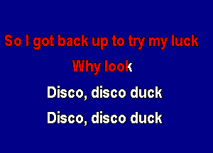 Why look

Disco, disco duck