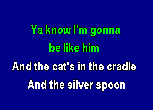 Ya know I'm gonna

be like him
And the cat's in the cradle

And the silver spoon