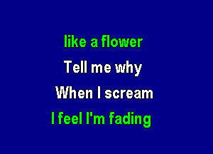 like a flower
Tell me why
When I scream

I feel I'm fading