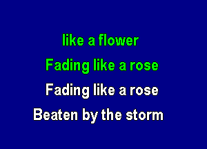 like a flower
Fading like a rose
Fading like a rose

Beaten by the storm