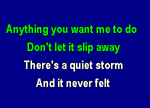Anything you want me to do

Don't let it slip away

There's a quiet storm
And it never felt