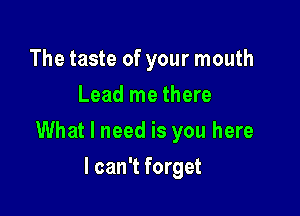 The taste of your mouth
Lead me there

What I need is you here

I can't forget