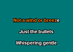 Not a wind or breeze

Just the bullets

Whispering gentle