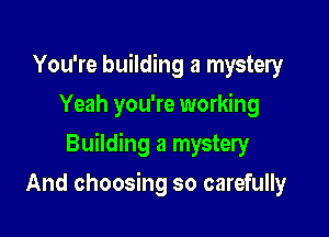 You're building a mystery
Yeah you're working

Building a mystery

And choosing so carefully