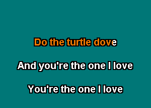Do the turtle dove

And you're the one I love

You're the one I love