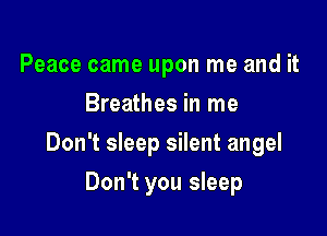 Peace came upon me and it
Breathes in me

Don't sleep silent angel

Don't you sleep