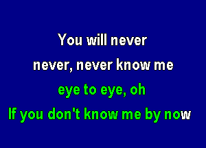 You will never
never, never know me
eye to eye, oh

If you don't know me by now