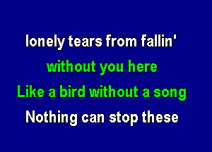 lonely tears from fallin'
without you here

Like a bird without a song

Nothing can stop these
