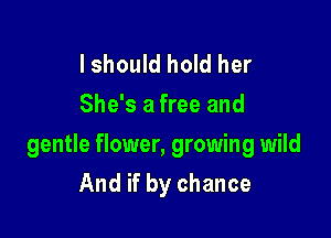 I should hold her
She's a free and

gentle flower, growing wild

And if by chance