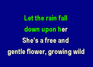 Let the rain fall
down upon her
She's a free and

gentle flower, growing wild