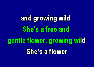 and growing wild
She's a free and

gentle flower, growing wild

She's a flower