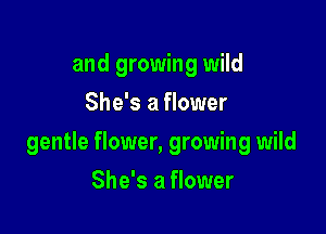 and growing wild
She's a flower

gentle flower, growing wild

She's a flower