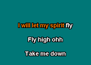 I will let my spirit fly

Fly high ohh

Take me down