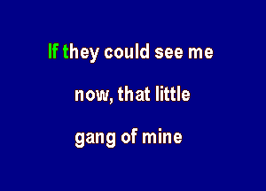 If they could see me

now, that little

gang ofmine