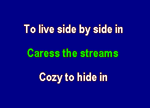 To live side by side in

Caress the streams

Cozy to hide in