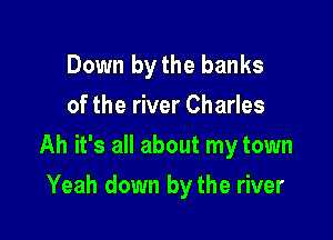 Down bythe banks
of the river Charles

Ah it's all about my town

Yeah down by the river