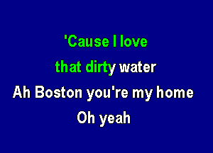 'Cause I love
that dirty water

Ah Boston you're my home
Oh yeah