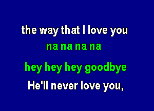 the waythat I love you
na na na na

hey hey hey goodbye

He'll never love you,