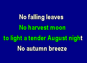 No falling leaves
No harvest moon

to light a tender August night

No autumn breeze