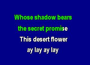 Whose shadow bears

the secret promise

This desert flower
ay lay ay lay