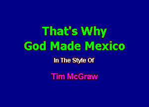 That's Why
God Made Mexico

In the Styte 01