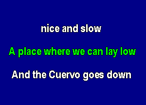 nice and slow

A place where we can lay low

And the Cuervo goes down
