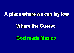 A place where we can lay low

Where the Cuervo

God made Mexico