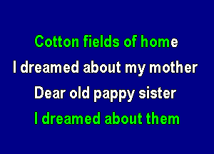 Cotton fields of home
I dreamed about my mother

Dear old pappy sister

ldreamed about them