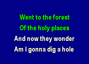 Went to the forest
Of the holy places
And now they wonder

Am I gonna dig a hole