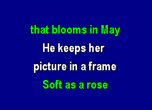 that blooms in May

He keeps her
picture in a frame
Soft as a rose