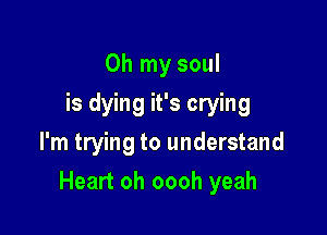 Oh my soul
is dying it's crying
I'm trying to understand

Heart oh oooh yeah