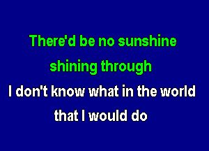 There'd be no sunshine

shining through

I don't know what in the world
that I would do