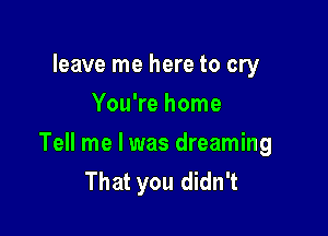 leave me here to cry
You're home

Tell me I was dreaming
That you didn't