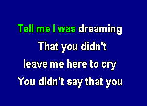 Tell me I was dreaming
That you didn't
leave me here to cry

You didn't say that you