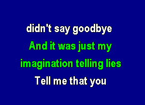 didn't say goodbye
And it was just my

imagination telling lies

Tell me that you