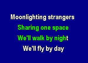 Moonlighting strangers
Sharing one space

We'll walk by night
We'll fly by day