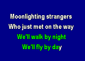 Moonlighting strangers
Who just met on the way

We'll walk by night
We'll fly by day