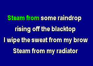 Steam from some raindrop
rising off the blacktop
I wipe the sweat from my brow
Steam from my radiator