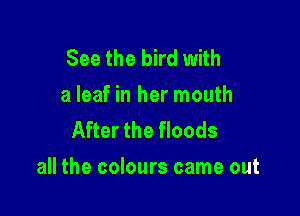 See the bird with
a leaf in her mouth
After the floods

all the colours came out