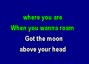 where you are
When you wanna roam
Got the moon

above your head