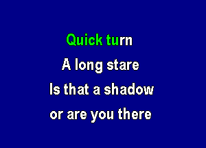 Quick turn

A long stare

Is that a shadow
or are you there