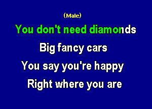 (Male)

You don't need diamonds
Big fancy cars

You say you're happy
Right where you are