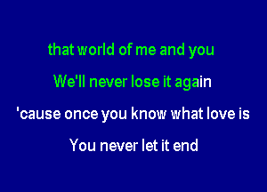 that world of me and you

We'll never lose it again
'cause once you know what love is

You never let it end