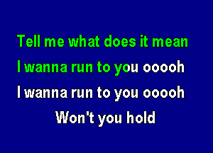 Tell me what does it mean
I wanna run to you ooooh

lwanna run to you ooooh
Won't you hold