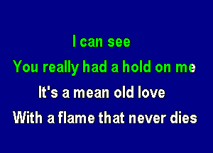 I can see

You really had a hold on me

It's a mean old love
With a flame that never dies